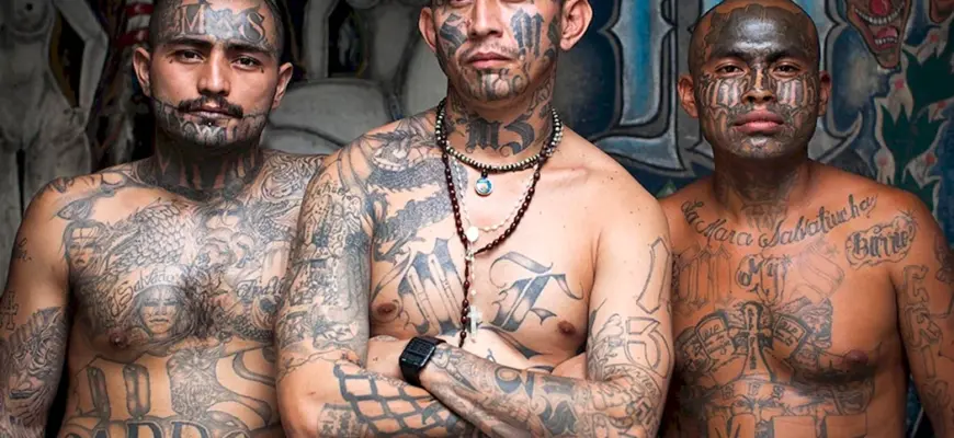 Банда Мара Сальватруча ms13