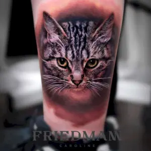 Кот реализм
