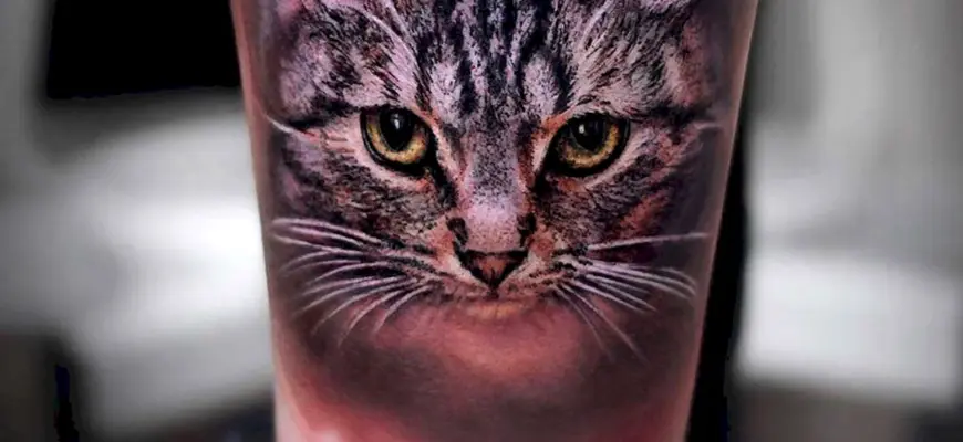 Кот реализм