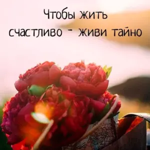 Красивые цитаты