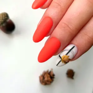 Матовые осенние ногти