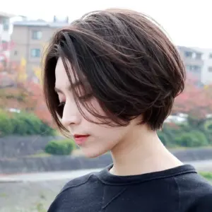 Pixie Bob стрижка Корея