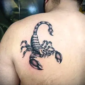 Скорпион СКВО
