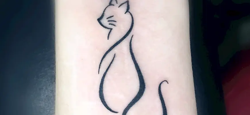 Тату кошка