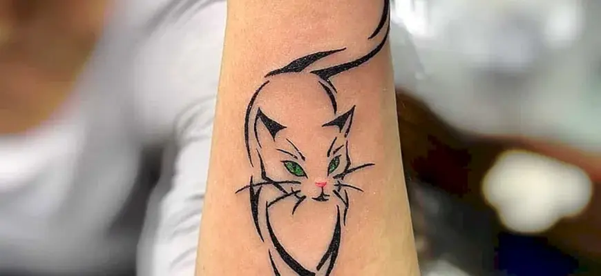 Тату кошка