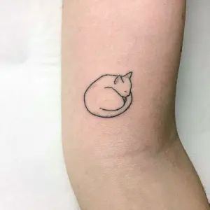 Тату кошка Минимализм