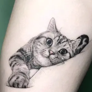 Тату кот британец