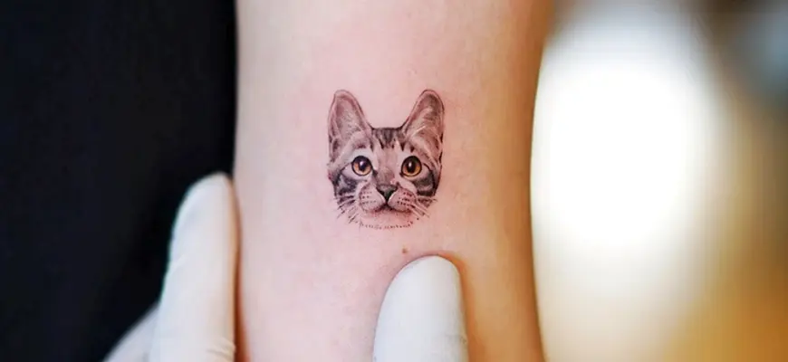 Тату котик