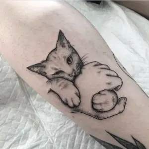 Тату коты