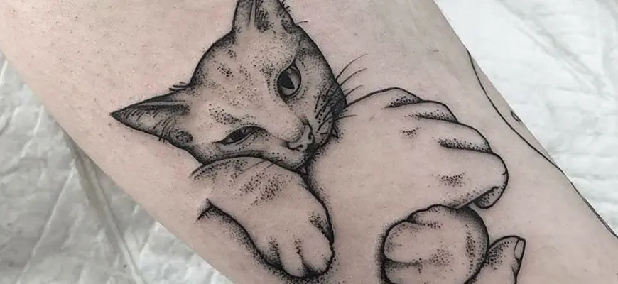 Тату коты