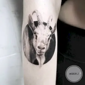 Тату коза