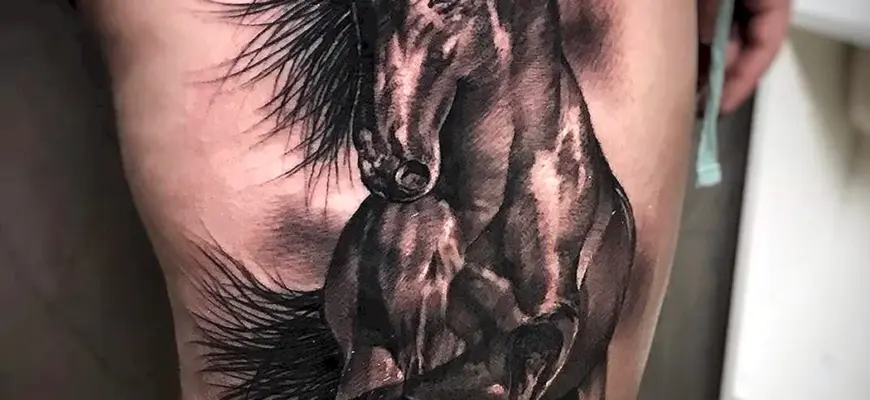 Тату лошадь