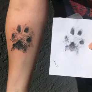 Тату отпечаток кошачьей лапы